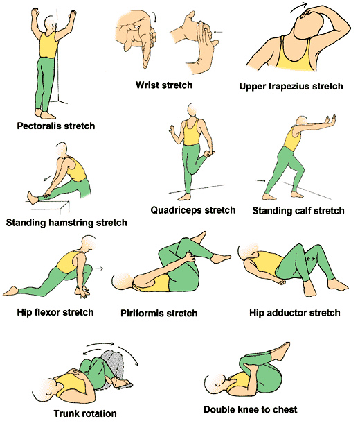 stretches